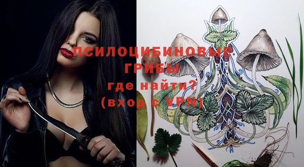 первитин Армянск