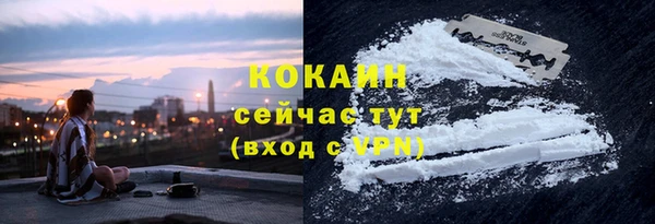 первитин Новодвинск